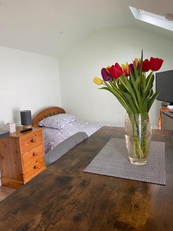 Appartamento Cosy 1 Bed Garden Annexe Colchester Esterno foto